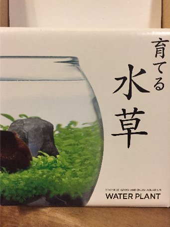 育てる水草 我楽多工場分室 2