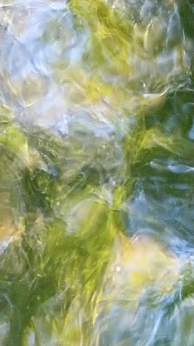 いま_f0155808_14384926.jpg
