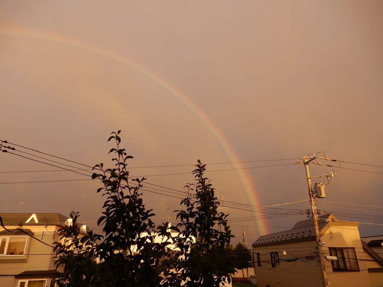 今日も一日強風_c0025115_20433053.jpg