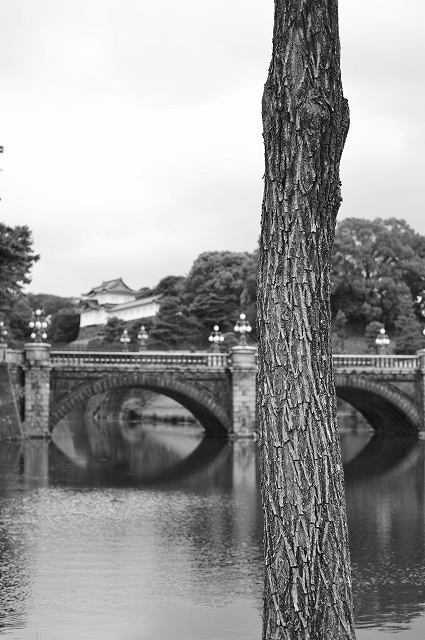皇居界隈 Nikon Df散歩_f0050534_06563234.jpg