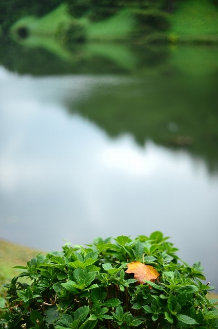 皇居界隈 Nikon Df散歩_f0050534_06564266.jpg