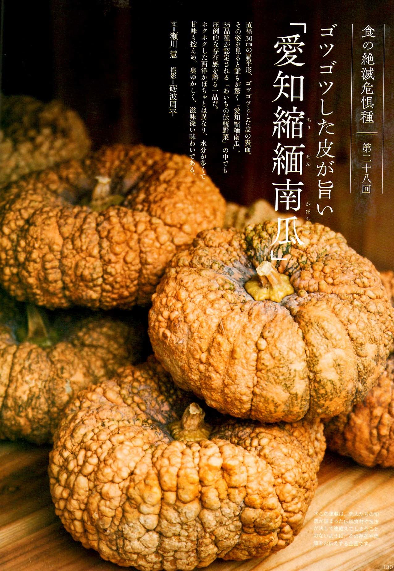 愛知縮緬かぼちゃ あいちの伝統野菜 畑から