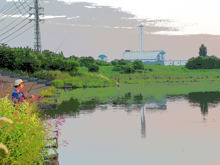 オオハシシギもいつもの休耕田に_d0290240_15242579.jpg