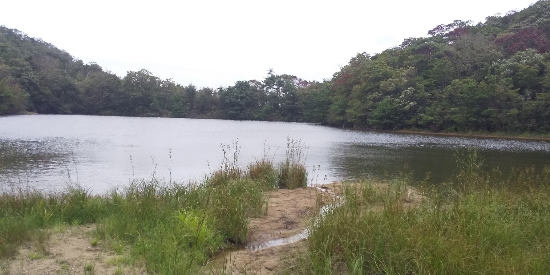 裏丹生山鳴川_b0227552_21132037.jpg