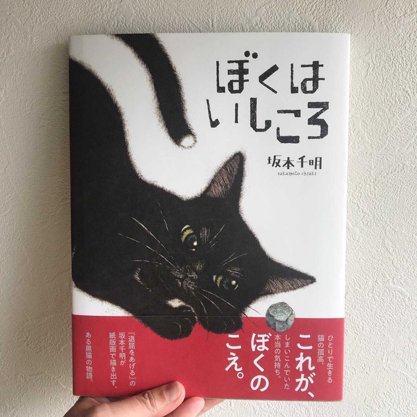 絵本『ぼくはいしころ』の見本が完成しました。_c0138553_15111455.jpg