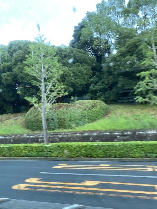 三つ編み族の、心の旅_c0113755_03313805.jpeg
