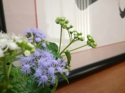 花よ、蝶よ…_b0368362_09413172.jpg