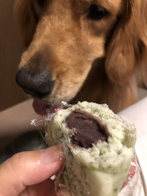 かわり行く季節。_a0394574_21394795.jpeg
