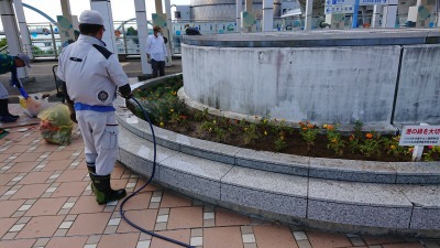 名古屋港水族館前花壇の植栽R2.9.2_d0338682_16490025.jpg