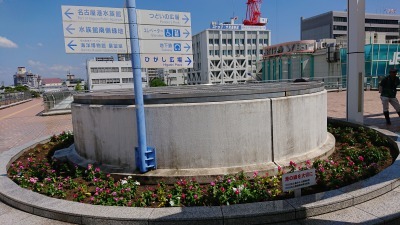 名古屋港水族館前花壇の植栽R2.9.2_d0338682_16492722.jpg