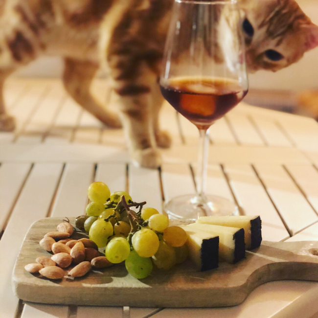 ジビッボのぶどうとシチリア美食王国_e0335287_22185797.jpg