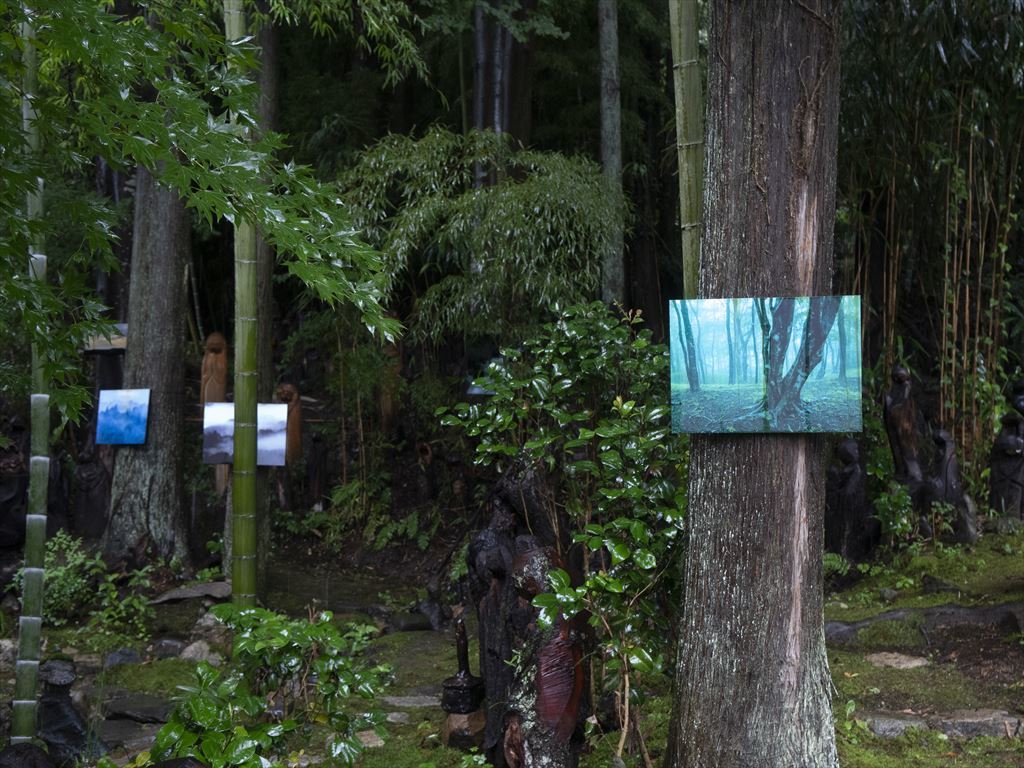 森の中のアート写真展 開催のお知らせ デジタル宮城の歳時記 森の中のアート写真展 開催のお知らせ デジタル宮城の歳時記