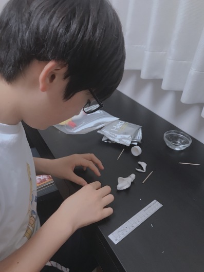 優しさ_c0203401_11393166.jpeg