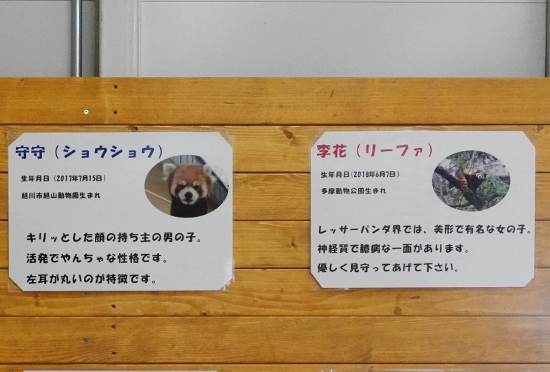 初訪問 豊橋のんほいぱーく レサパン日和 初訪問 豊橋のんほいぱーく レサパン日和