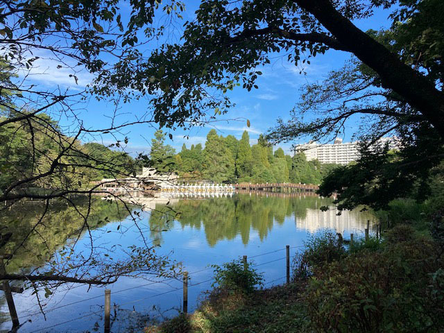 9月 秋の気配 2020_e0208519_14550989.jpg