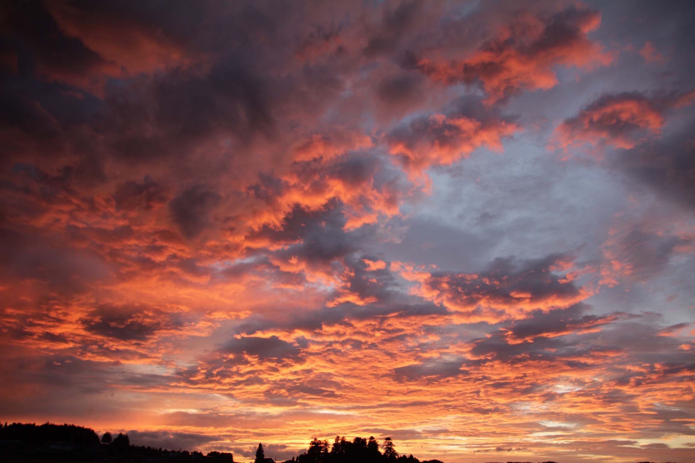 夕暮れ空と今朝の空 ほのぼのまめまめ