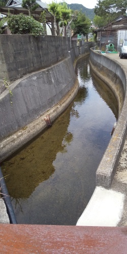 杉原川　防災　変わり行く風景_d0072553_10412185.jpg