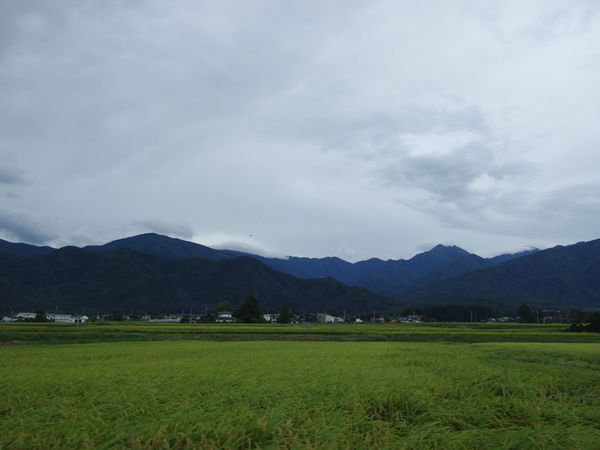 ブタキムチ_f0380464_2118222.jpg