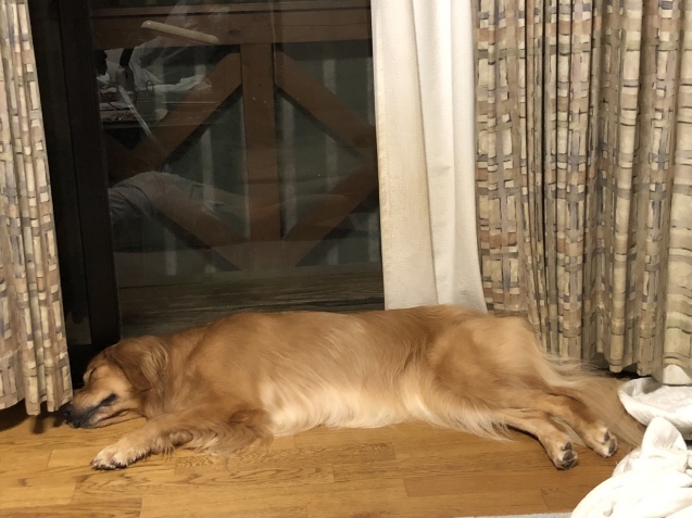 無事生還。_a0394574_20500546.jpeg