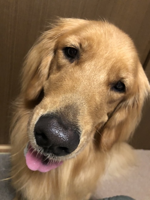 無事生還。_a0394574_21030918.jpeg