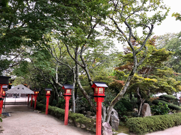 比叡山律院 千日回峰行満行 叡南俊照大阿闍梨様_d0339676_23434386.jpg
