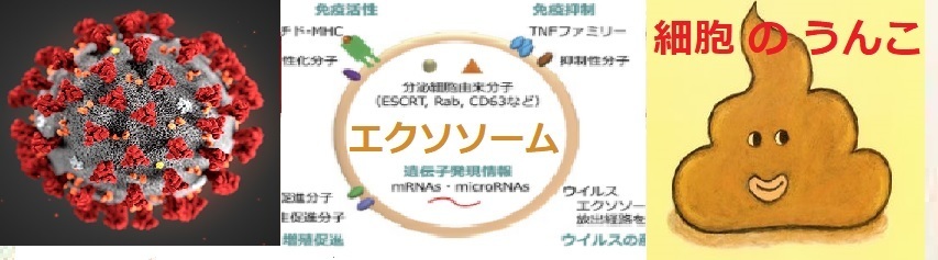 【超ド級】コロナの真相:コロナワクチンは遺伝子改変のフランケン注射!BCGワクチンの結核菌も嘘?コロナの嘘を暴く世界医師連盟!コロナもエイズもポリオも嘘!コロナはウンコ!原因は5G!三浦春馬氏らも_e0069900_16110428.jpg