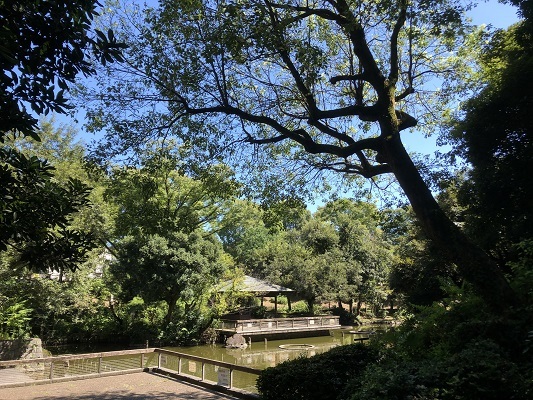 残暑中の仕事であれこれ思う_c0022913_12221352.jpg