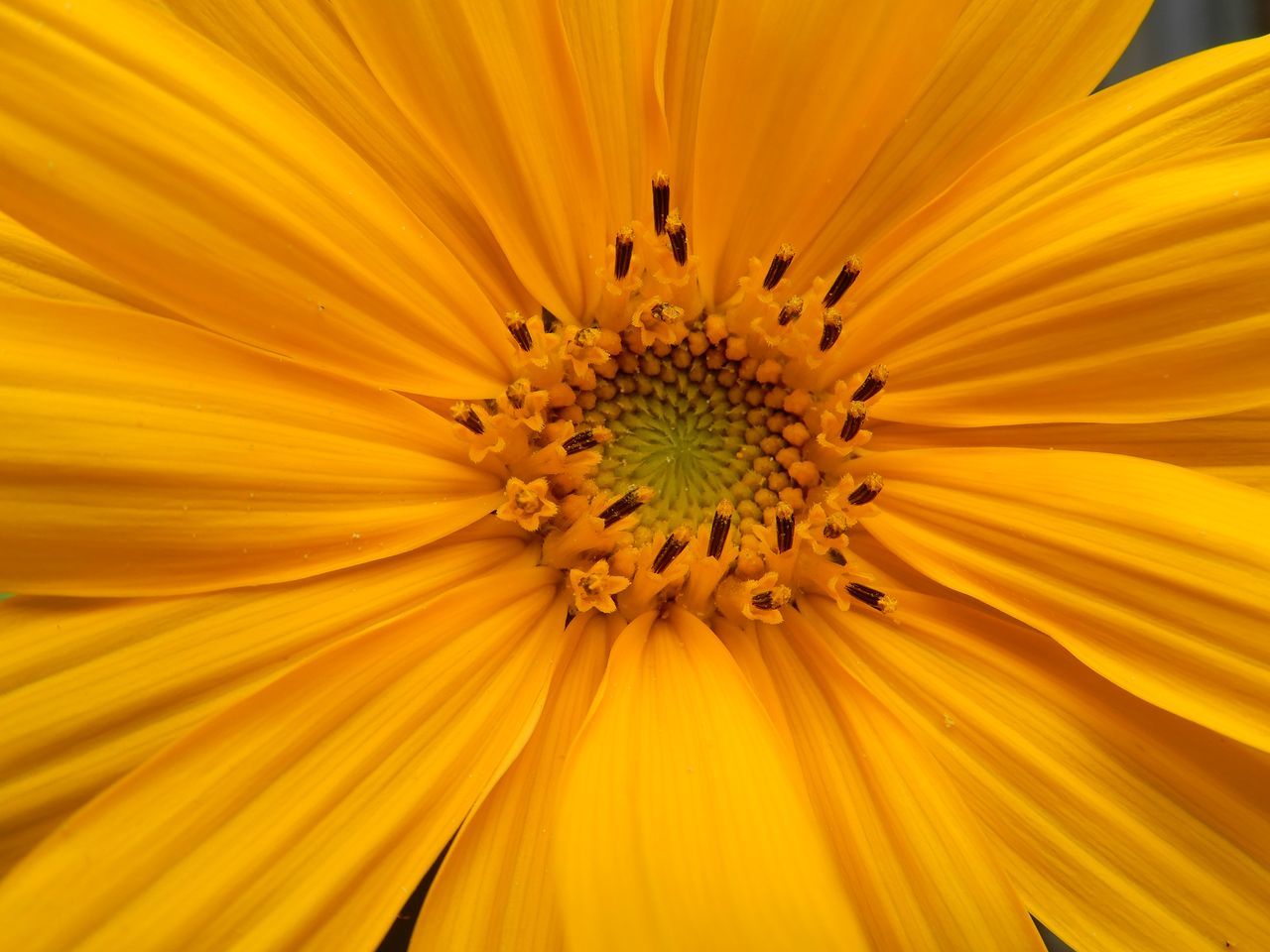 夏の終りのモエレの花火_c0025115_22402749.jpg