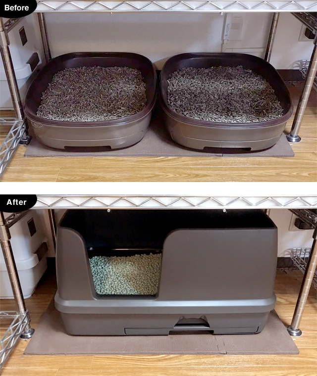 【猫の室内飼いの工夫】巨大猫トイレ1:デオトイレ快適ワイド_a0233917_1301713.jpg