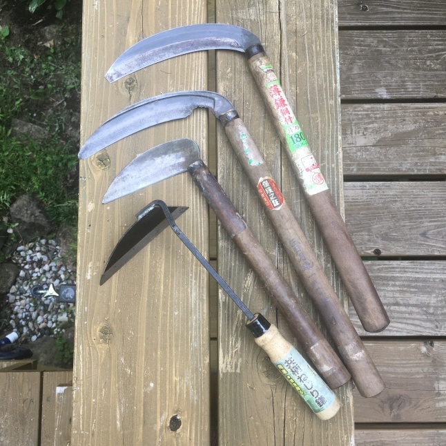 きょうも野良仕事 〜大石転がし〜_d0348118_09411351.jpeg