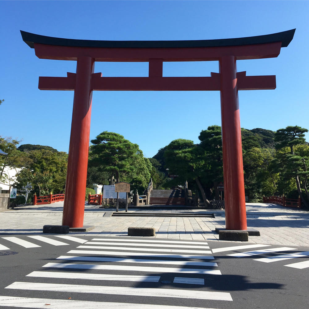 早朝の鶴岡八幡宮へお参りに_c0060143_11092431.jpg