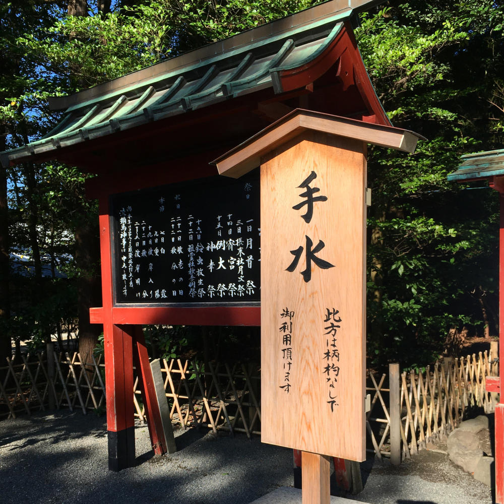 早朝の鶴岡八幡宮へお参りに_c0060143_11093122.jpg