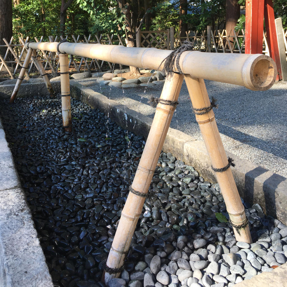 早朝の鶴岡八幡宮へお参りに_c0060143_11093964.jpg