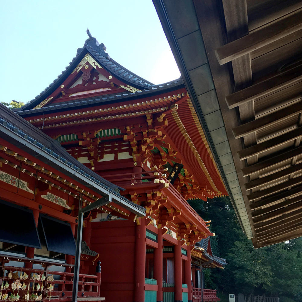 早朝の鶴岡八幡宮へお参りに_c0060143_11104961.jpg