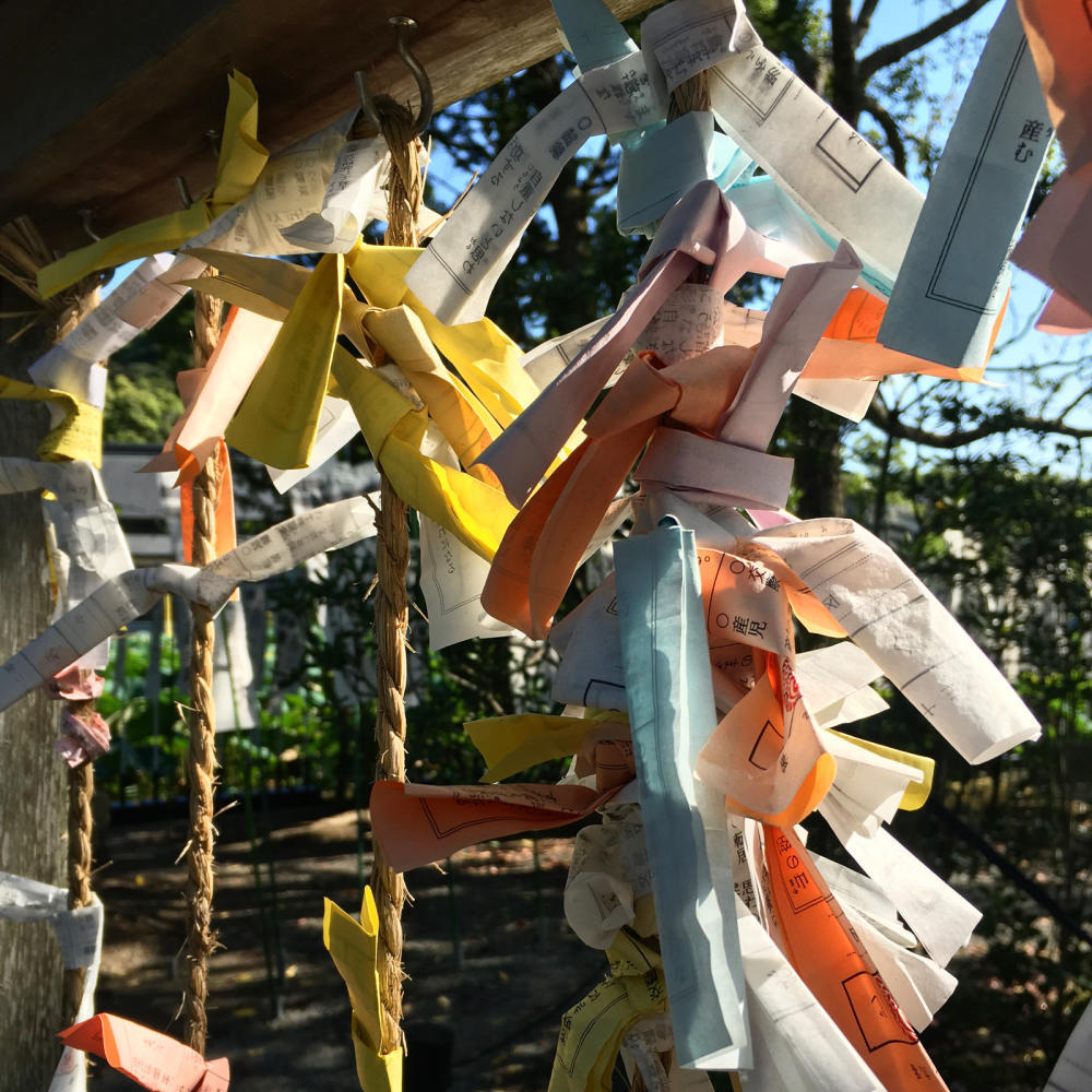 早朝の鶴岡八幡宮へお参りに_c0060143_11110889.jpg