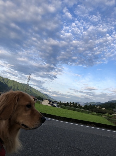 夢時間。_a0394574_09130257.jpeg