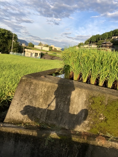 夢時間。_a0394574_09135328.jpeg