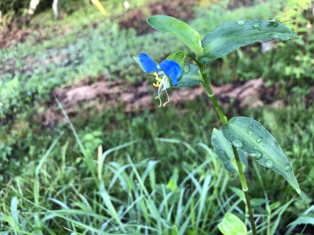 夢時間。_a0394574_09150820.jpeg