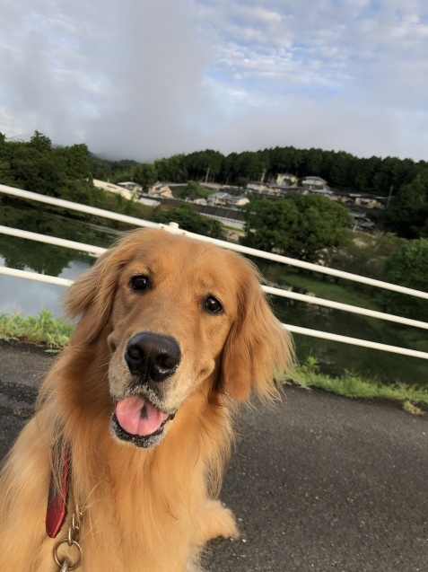 夢時間。_a0394574_09245899.jpeg