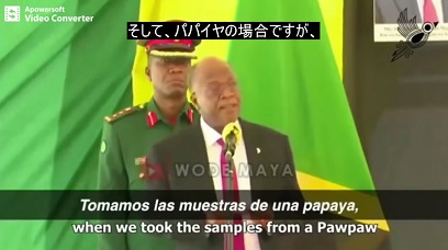 驚愕!パパイヤでもPCR陽性タンザニア大統領(科学者)とは! #136_b0225081_15231234.jpg