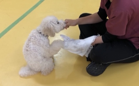 トレーニングブログ_f0357682_17154242.jpeg