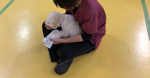 トレーニングブログ_f0357682_17155225.jpeg