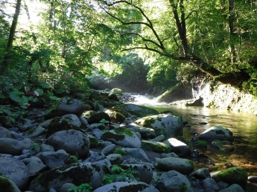 夏の終わりに余別川で沢登り