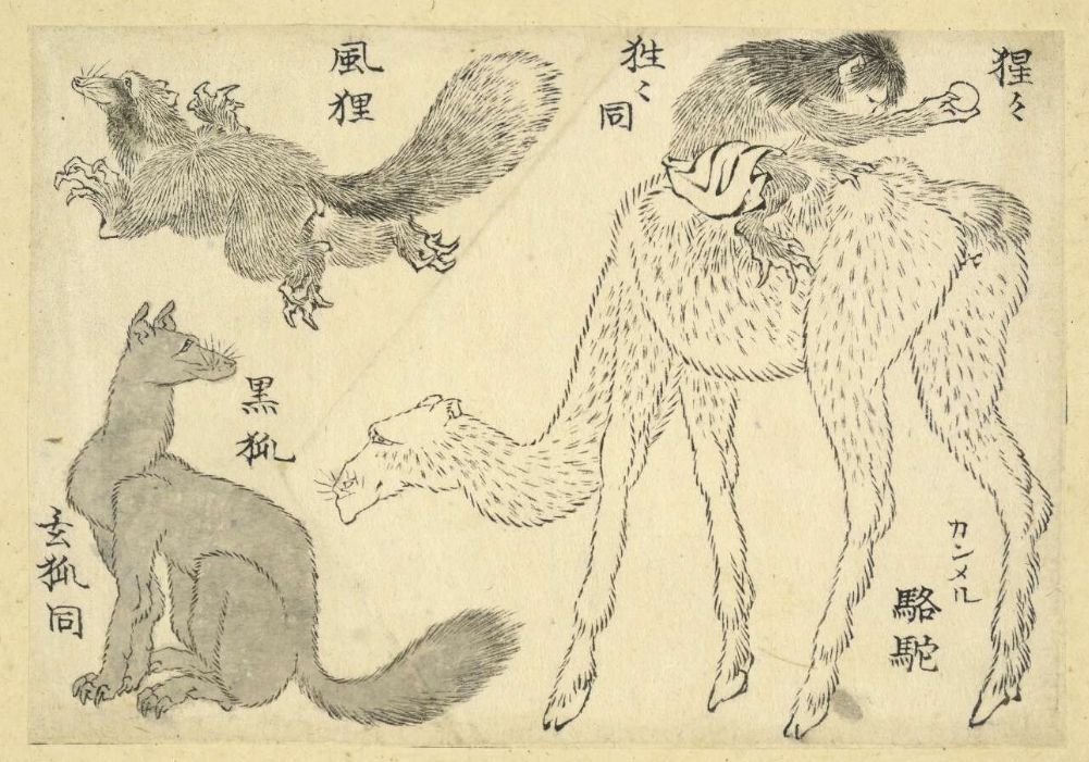 発見された過去の名作が即時公開されるウェブ時代の素晴らしさ_c0025115_22305690.jpg