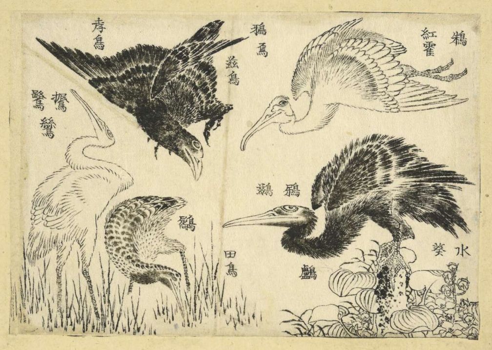発見された過去の名作が即時公開されるウェブ時代の素晴らしさ_c0025115_22364829.jpg