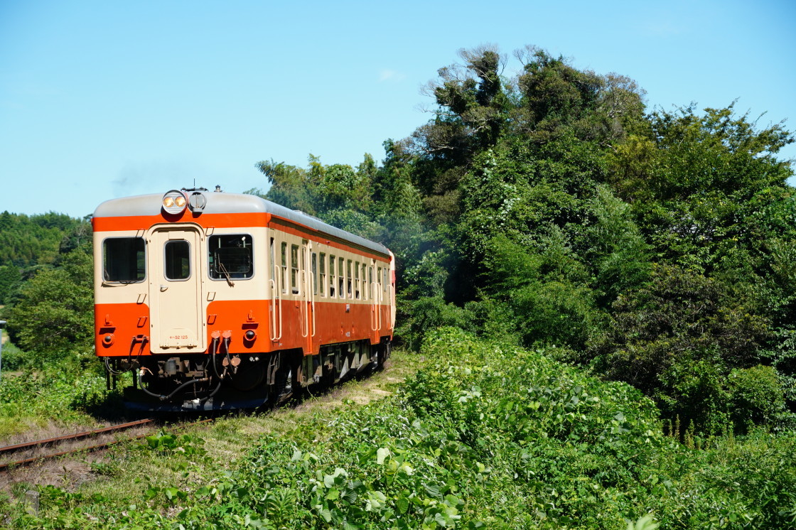 いすみ鉄道キハ52 キハ28ー年夏の撮影記ー Hiro の鉄旅ブログ