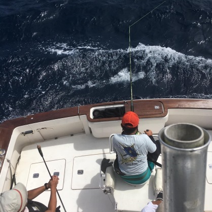 10連続カジキ釣果_f0009039_11340673.jpeg