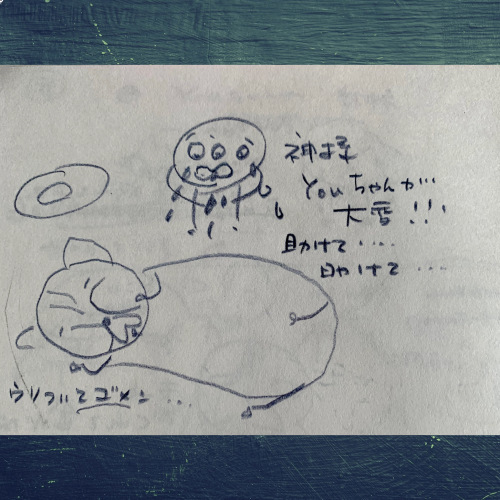 youちゃんとmeちゃんの友情の物語_b0307951_22432670.jpg