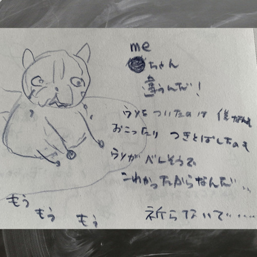 youちゃんとmeちゃんの友情の物語_b0307951_22501934.jpg