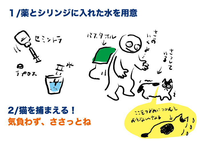 プチコのこと_2　#猫 慢性腎臓病 #投薬方法_e0026053_14074316.jpg